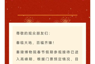 兵马俑博物馆排长龙 羽绒服的毛都挤出来了
