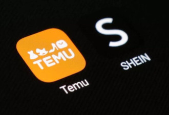 欧盟海关改革 拟让Temu等平台为危险非法商品担责