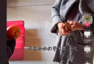 王菲哥哥被爆猝死安葬九华山寺庙，终生未婚
