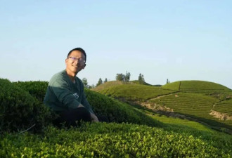 从大厂返乡卖茶叶，最难时只剩下430元
