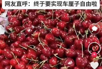 “车厘子崩盘”背后假象: 部分电商年年卖惨销货
