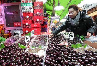 “车厘子崩盘”背后假象: 部分电商年年卖惨销货