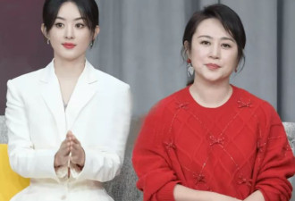 马丽与赵丽颖风波后续：一场名誉之战的幕后故事?