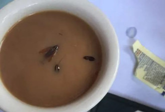 “喝咖啡时喝下的蟑螂，比你用灭害灵杀的还多”