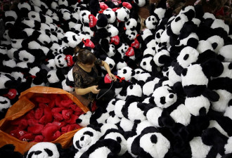 特朗普关税主要针对墨西哥 加拿大和中国哪些商品