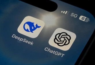 DeepSeek，中国官方标准“喂”出来的…