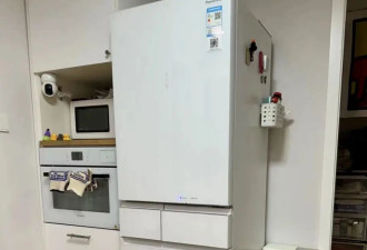 “新冰箱吸不住高价买的冰箱贴”，气疯有囤积癖的年轻人