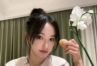 金晨虞书欣白鹿众女星过年都爱新中式，她们都穿了什么？