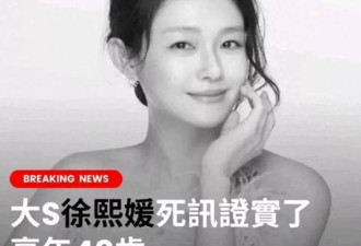 大S将在日本火化!汪急奔赴台,具或将分得上亿遗产