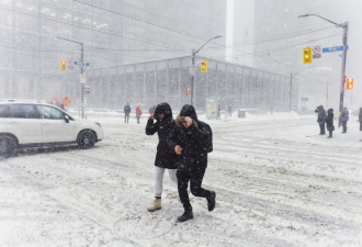 多伦多北部今天再迎10cm大雪！多地发布警报，部分校巴取消