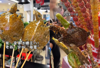 中国现奇葩小吃 整只鳖制成“冰糖龟蜜”爆红