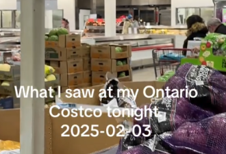 货架扫空! Costco"加拿大货"遭疯抢! 全民响应:国货网站一夜爆火!