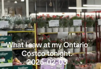 货架扫空! Costco"加拿大货"遭疯抢! 全民响应:国货网站一夜爆火!