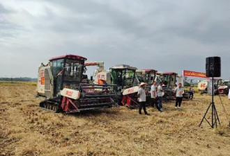 农业大比武：搞残经济的体面招式