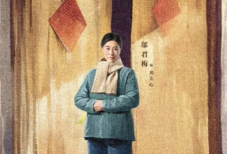《六姊妹》刘美心成祸害！怀9个孩子，毁掉儿子