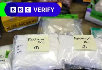 BBC报导：芬太尼是如何进入美国的？