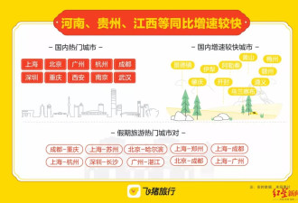 被高价机票劝退，今年流行“跨境返岗”