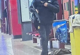 影片曝光 欧洲重镇传枪响 警方追查武装男子下落
