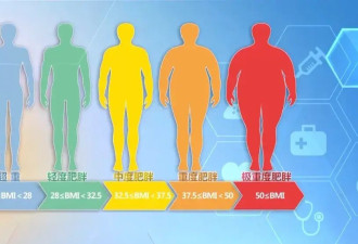 每逢佳节胖三斤？减肥，别踩这些“坑”