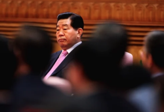大地震来了？！惊传支撑习权力的幕后大家族被查