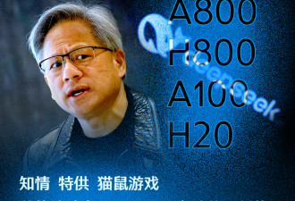 DeepSeek崛起，英伟达早已知情？