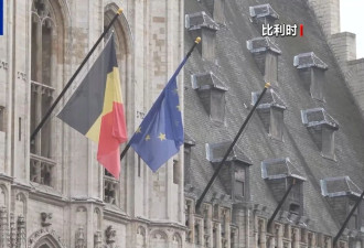 欧盟及欧洲多国反对特朗普“接管”加沙地带计划
