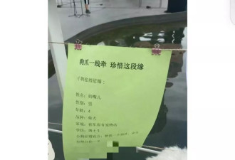 新的一年，想搞钱的年轻人都涌入了这些小众副业