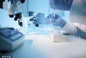 发现新病毒!科学家忧"人畜共通",同属病毒死亡率70%