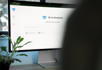 DeepSeek的崛起之路：从"炒股神器"到AI明星