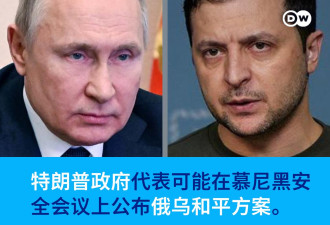 美国或在慕尼黑安全会议上宣布俄乌和平方案