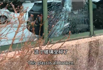 猖狂! 多伦多华人店铺遭恶意打砸! 监控惊人:黑衣人边砸边拍视频!