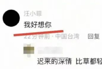 汪小菲对大S的深情，是一种病