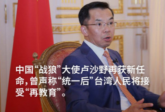 前“战狼”大使卢沙野再获新任命 任欧洲事务特别代表