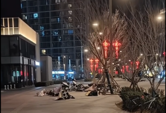 罕见!北京出现12级大风 网友:差点被吹飞