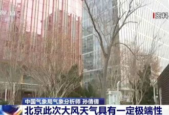 北京12级大风上热搜 网民：倒个垃圾 差点被吹倒…