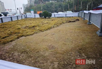 小孩放鞭炮引爆沼气致8车受损：坑洞已填平
