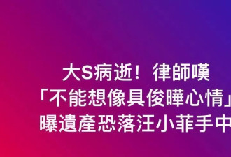 大S遗产分配引热议，细看资产问题很大