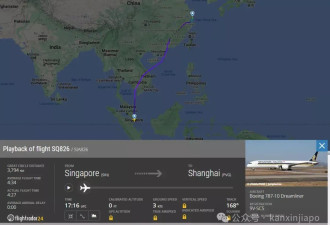 "我丢人不止今天这一天" 中国乘客被新航请下飞机