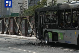 巴西小飞机坠毁撞到公交车，目击者讲述惊魂一刻