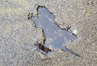 芝加哥水泥地被老鼠砸出坑 成网红打卡点 有人投币…