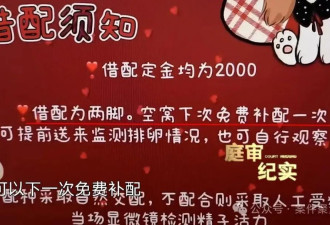 花6000元配种失败，狗狗差点离世，主人怒告！