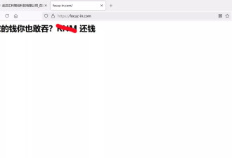 武汉一国企官网打开显示“码农的钱你也敢吞？还钱”