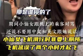 国产小仙女大闹新航逼停飞机，男友一脸绝望
