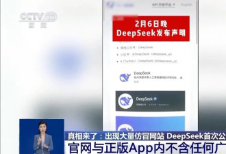 仿冒网站大量涌现，DeepSeek首次公开辟谣