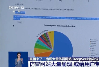 仿冒网站大量涌现，DeepSeek首次公开辟谣