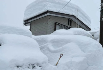 你不知道，日本的雪到底有多大,根本出不了门