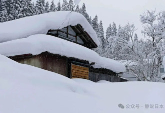 你不知道，日本的雪到底有多大,根本出不了门