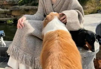26岁赵露思病好后美回巅峰！染“奶奶灰”不丑，意外美出高级感