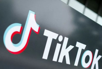 马斯克称他无意收购TikTok，他没有兴趣