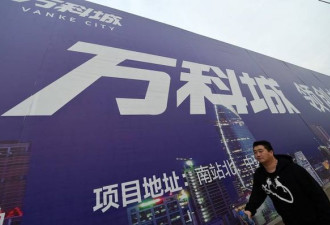 中国官方出手救万科 网友不看好
